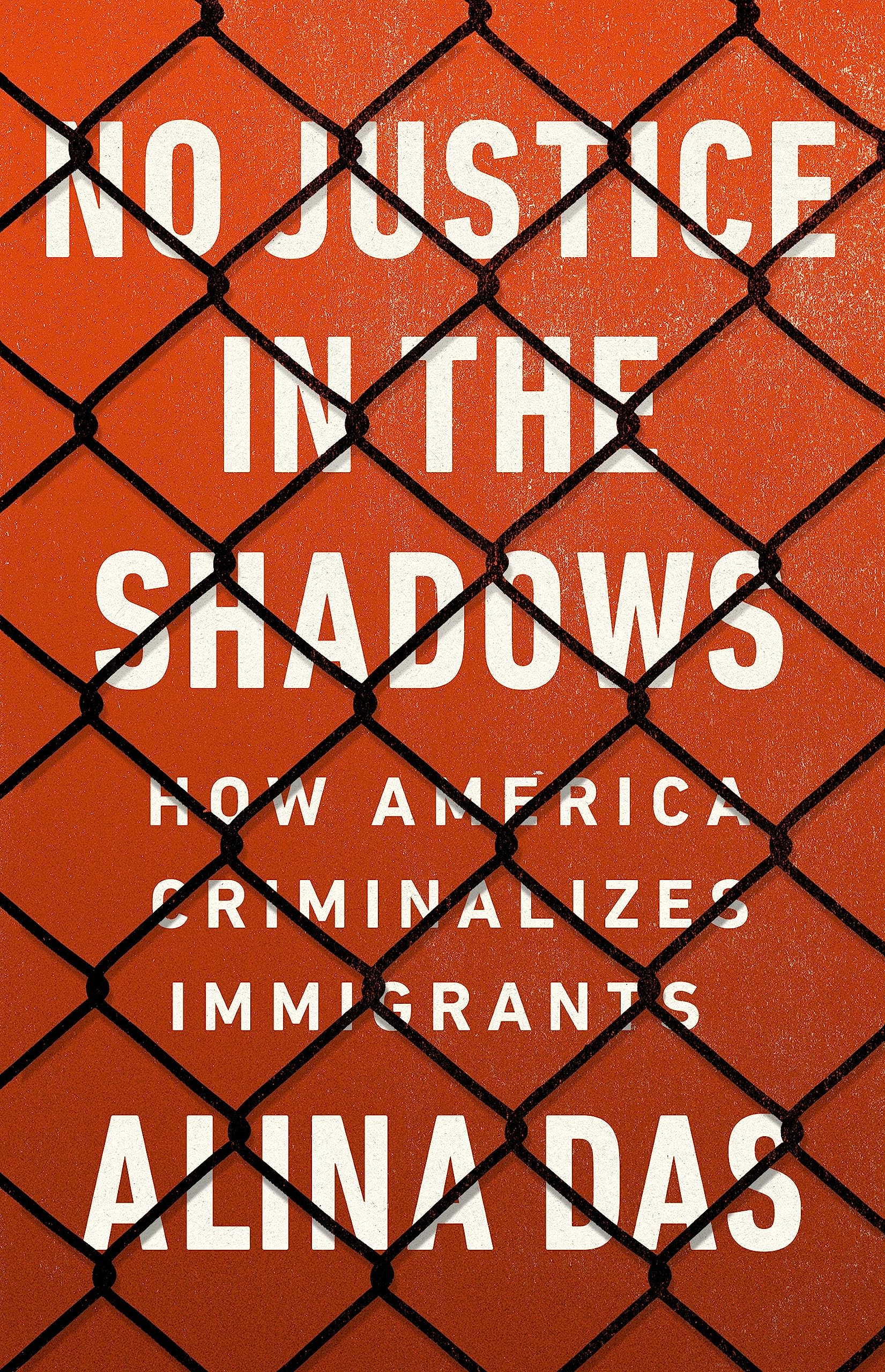 No Justice In The Shadows: How America Criminalizes Immigrants