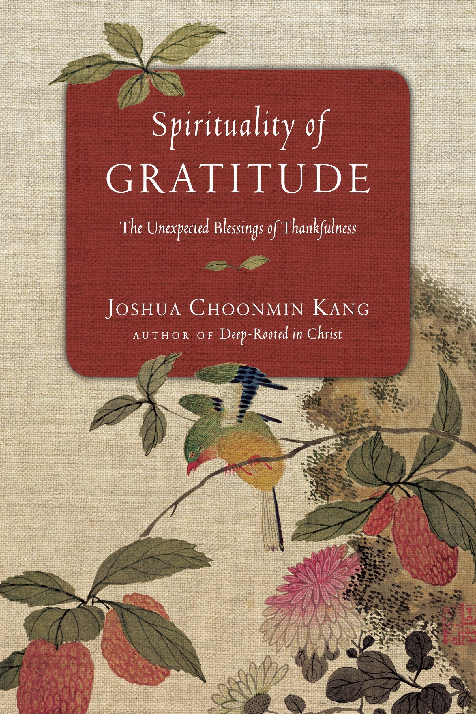 Spirituality of Gratitude: The Unexpected Blessings of Thankfulness,Used