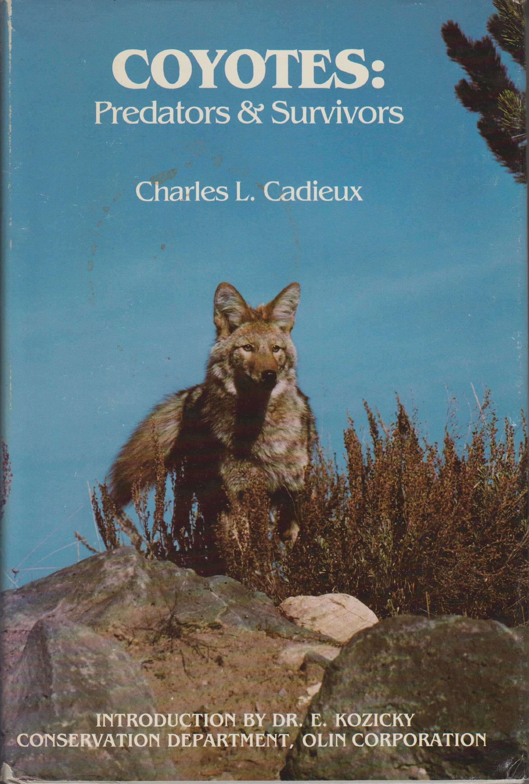 Coyotes: Predators and Survivors,Used