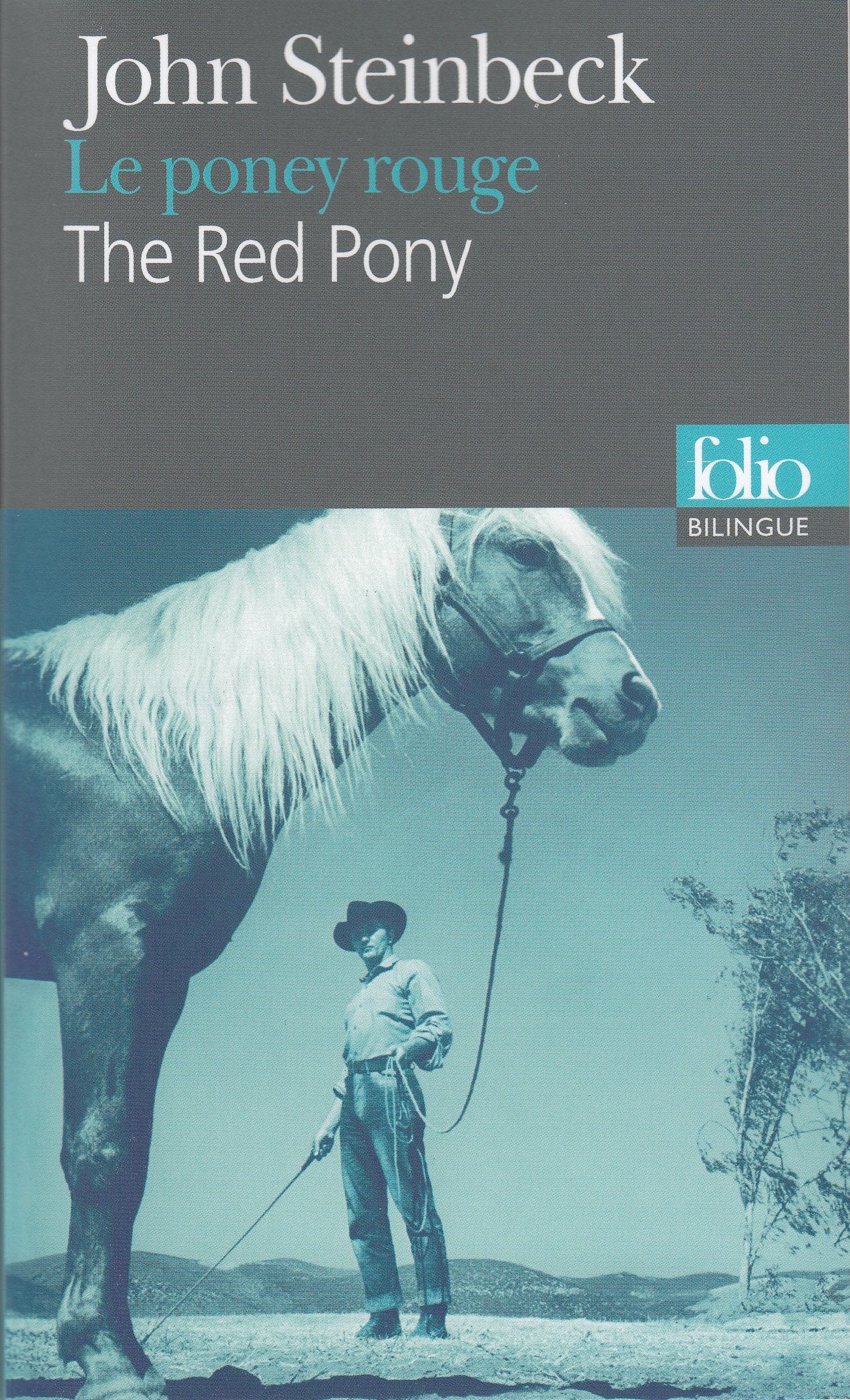 Poney Rouge Fo Bi (Folio Bilingue) (French Edition),Used