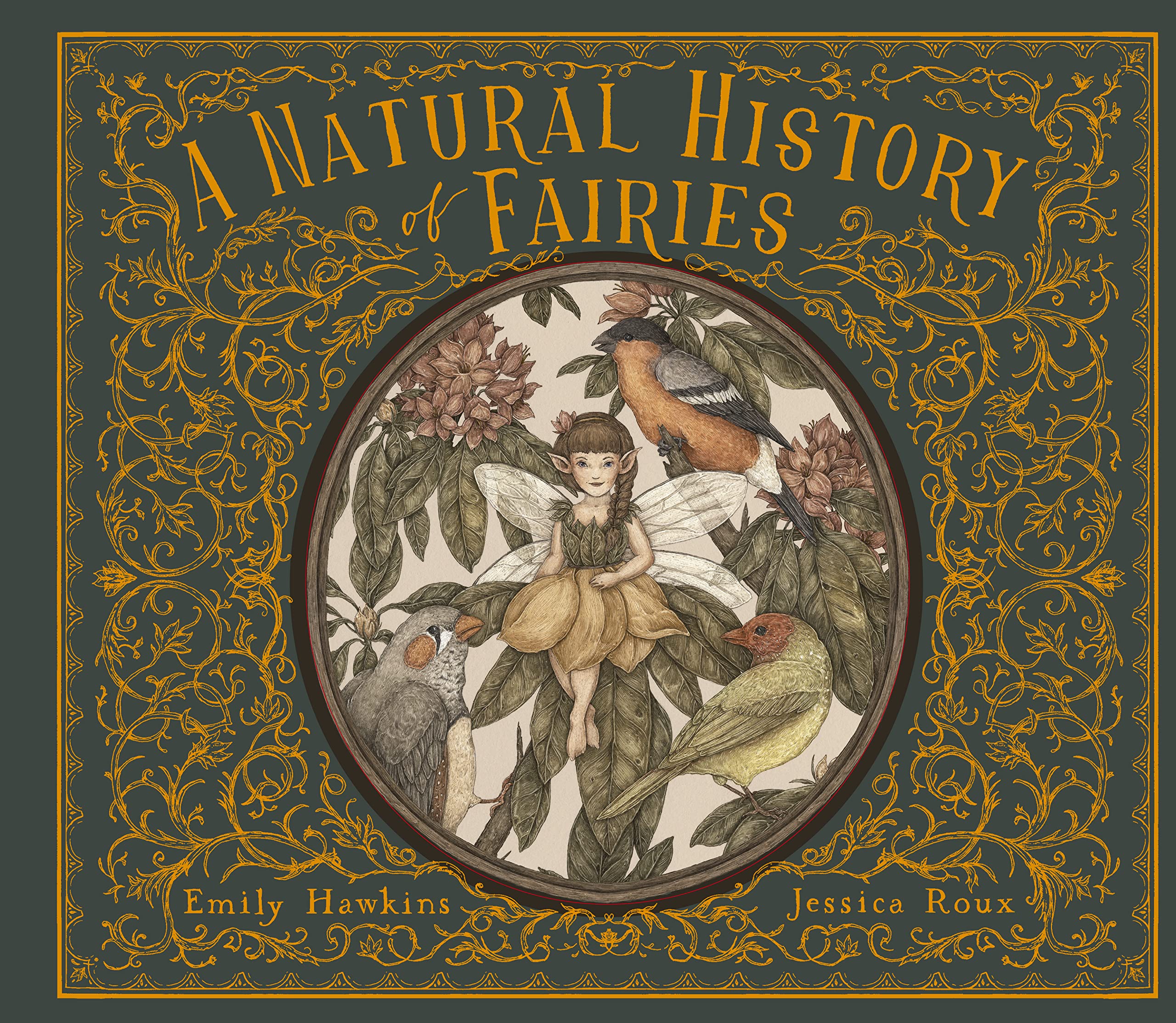 A Natural History of Fairies (Folklore Field Guides),Used