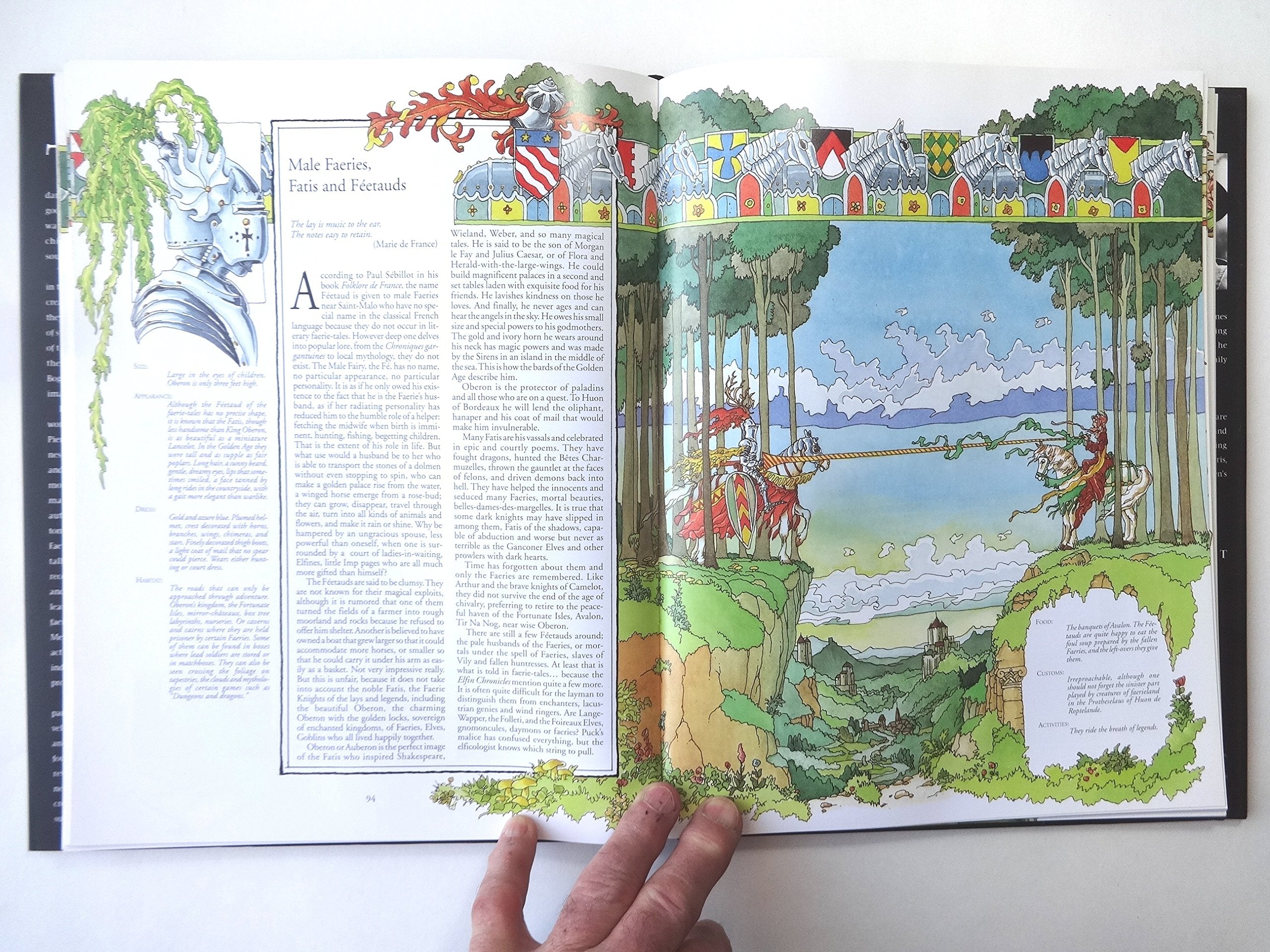 The Great Encyclopedia Of Faeries,Used