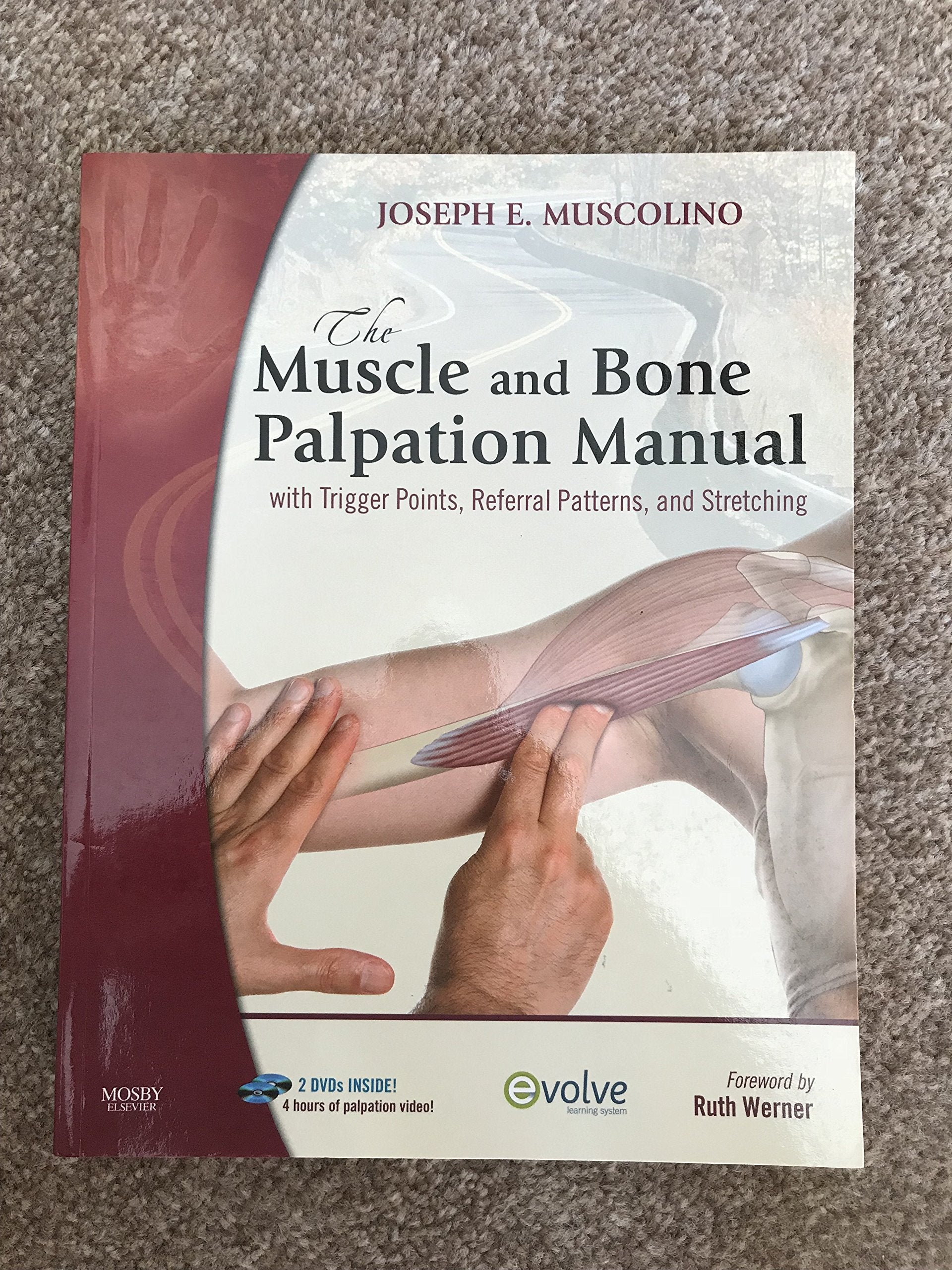 The Muscle And Bone Palpation Manual With Trigger Points, Referral Patterns And Stretching,New