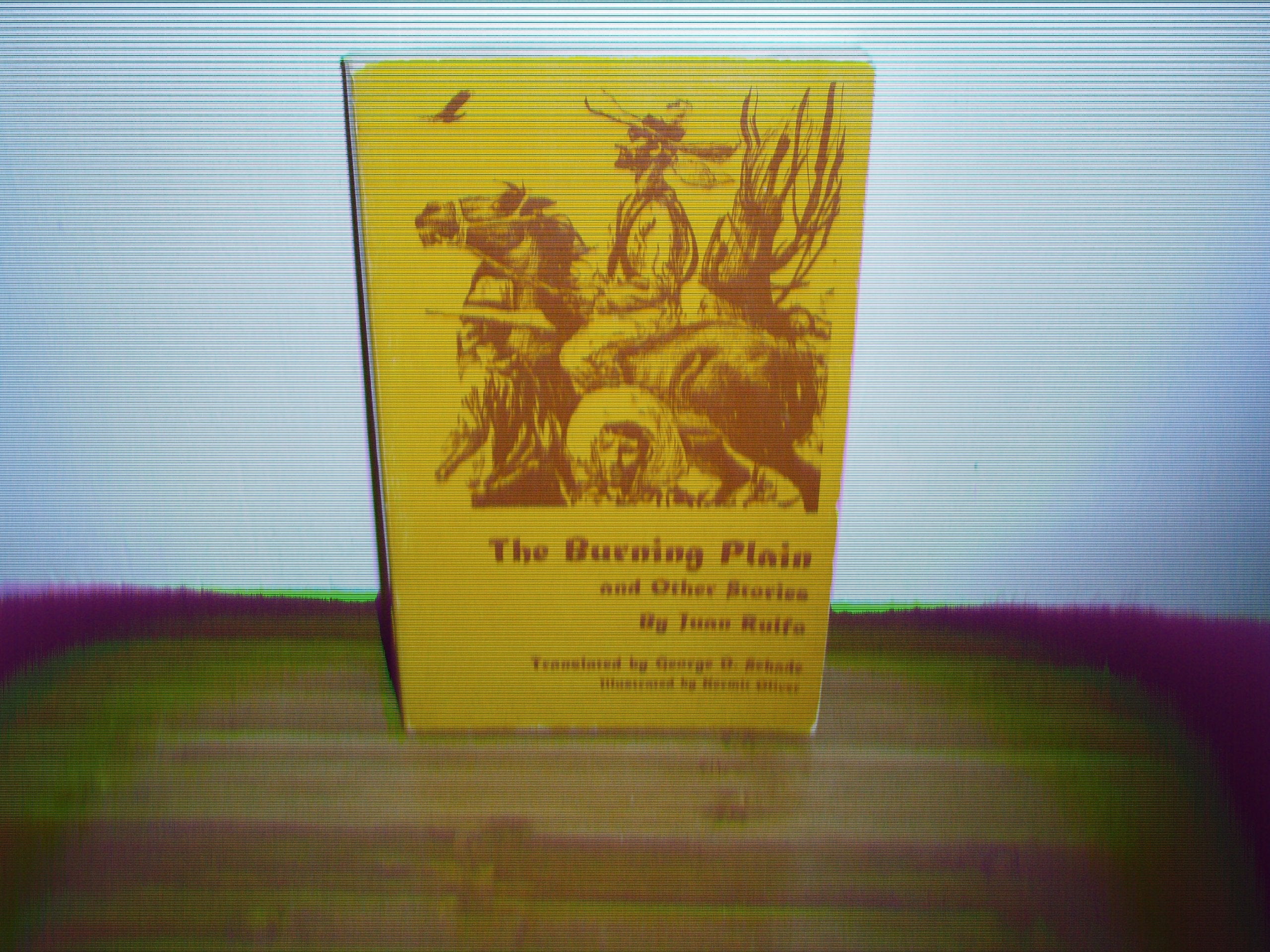 The Burning Plain And Other Stories,New