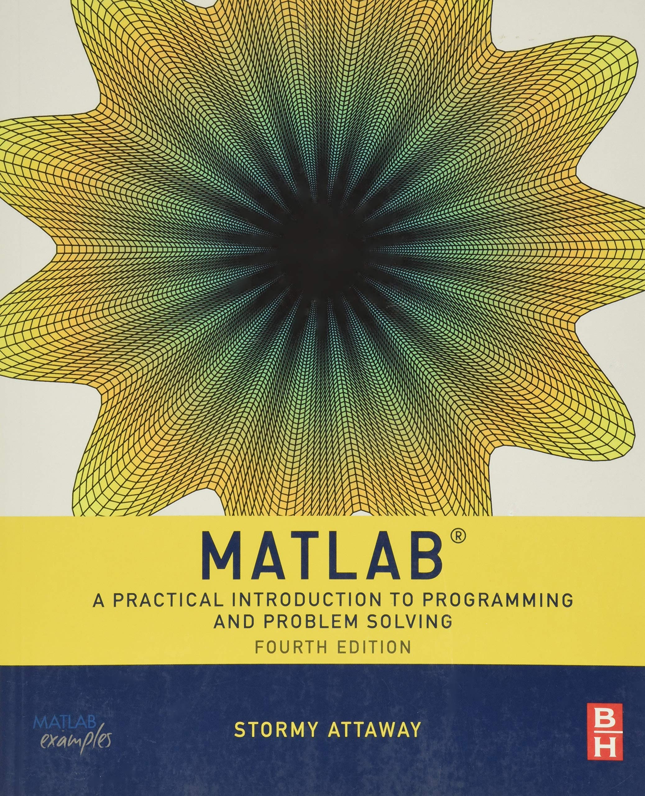 Matlab: A Practical Introduction To Programming And Problem Solving,Used