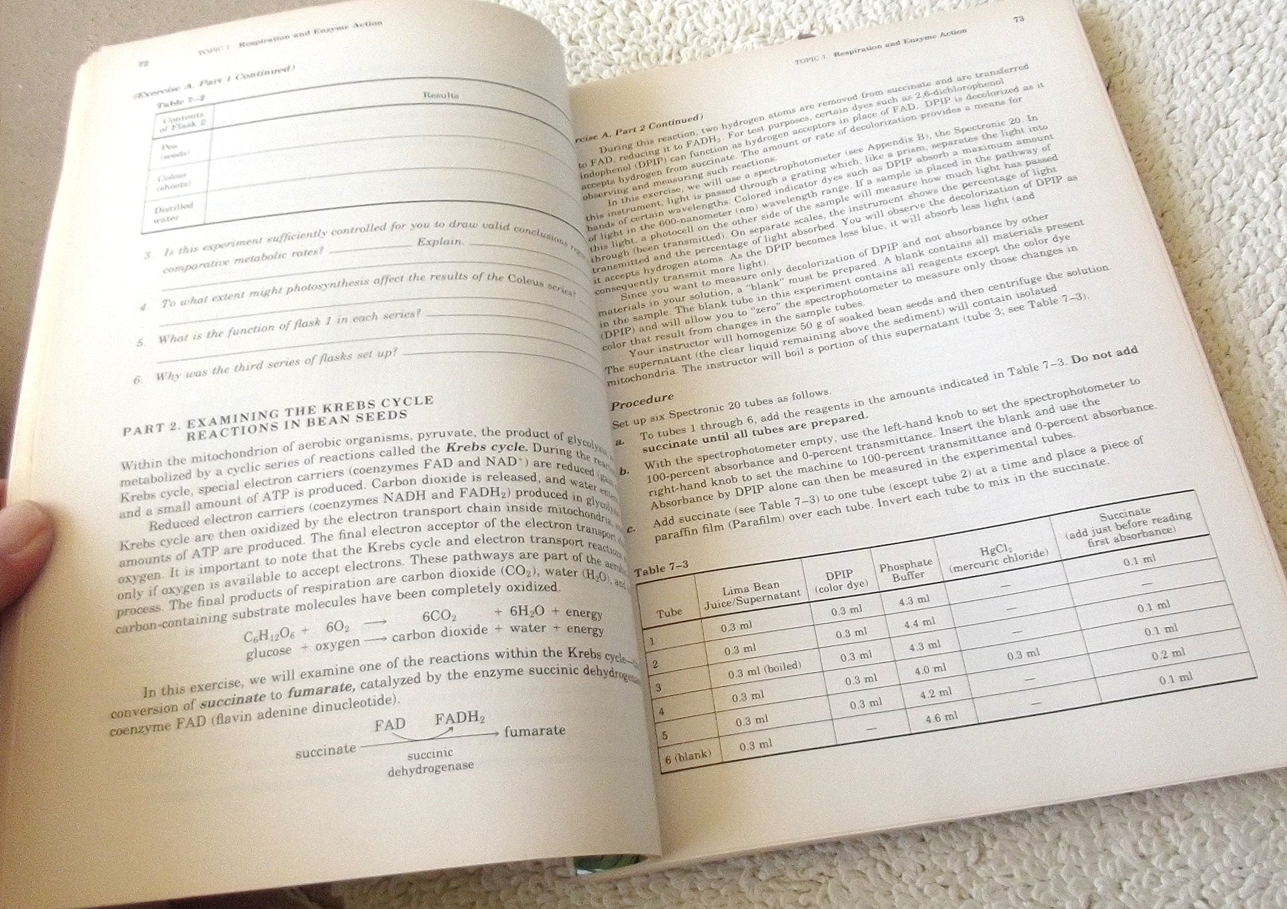 Laboratory Topics in Botany: To Accompany Raven,m Evert, Eichhorn Biology of Plants,Used