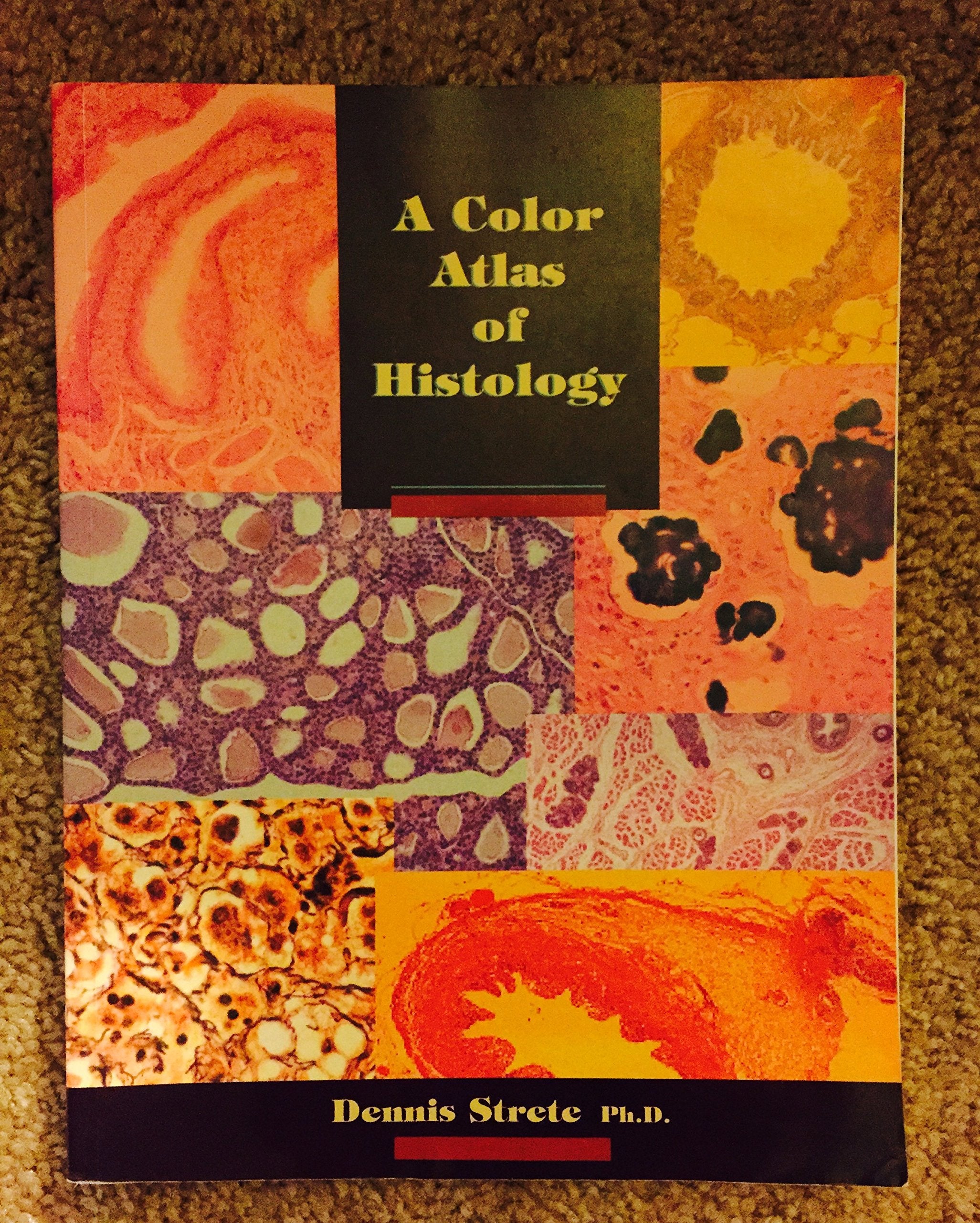 A Color Atlas Of Histology