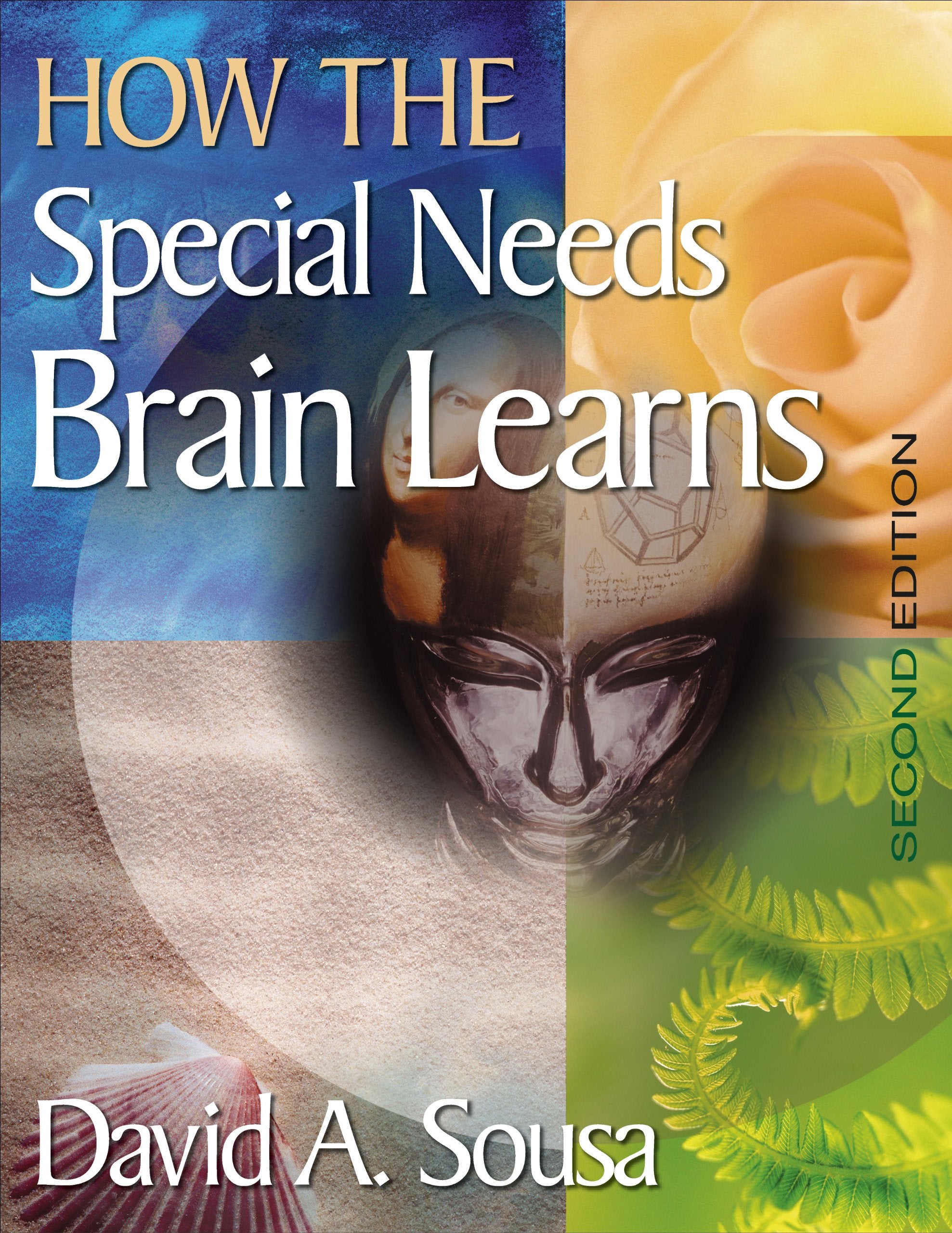 How the Special Needs Brain Learns,New