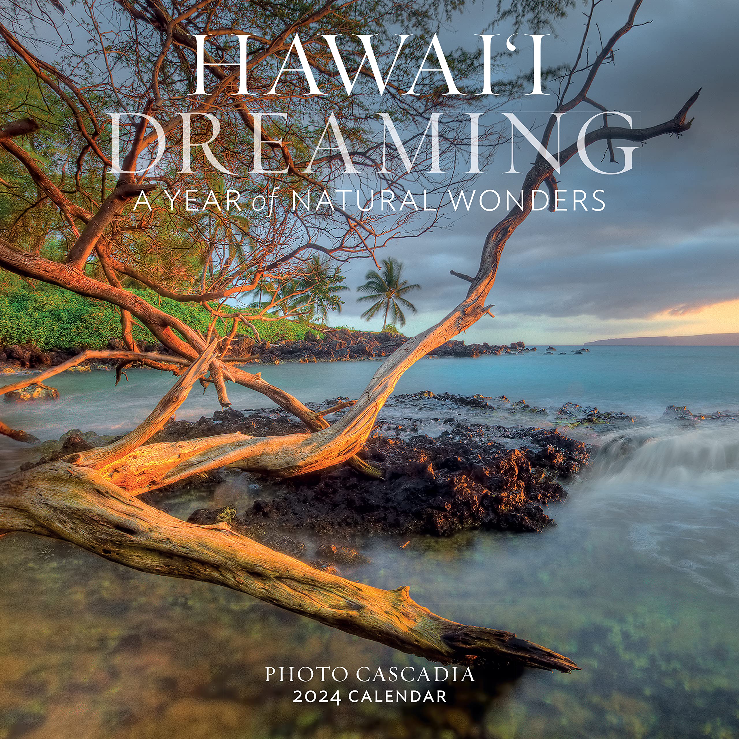 Hawai'I Dreaming Wall Calendar 2024: A Year Of Natural Wonders