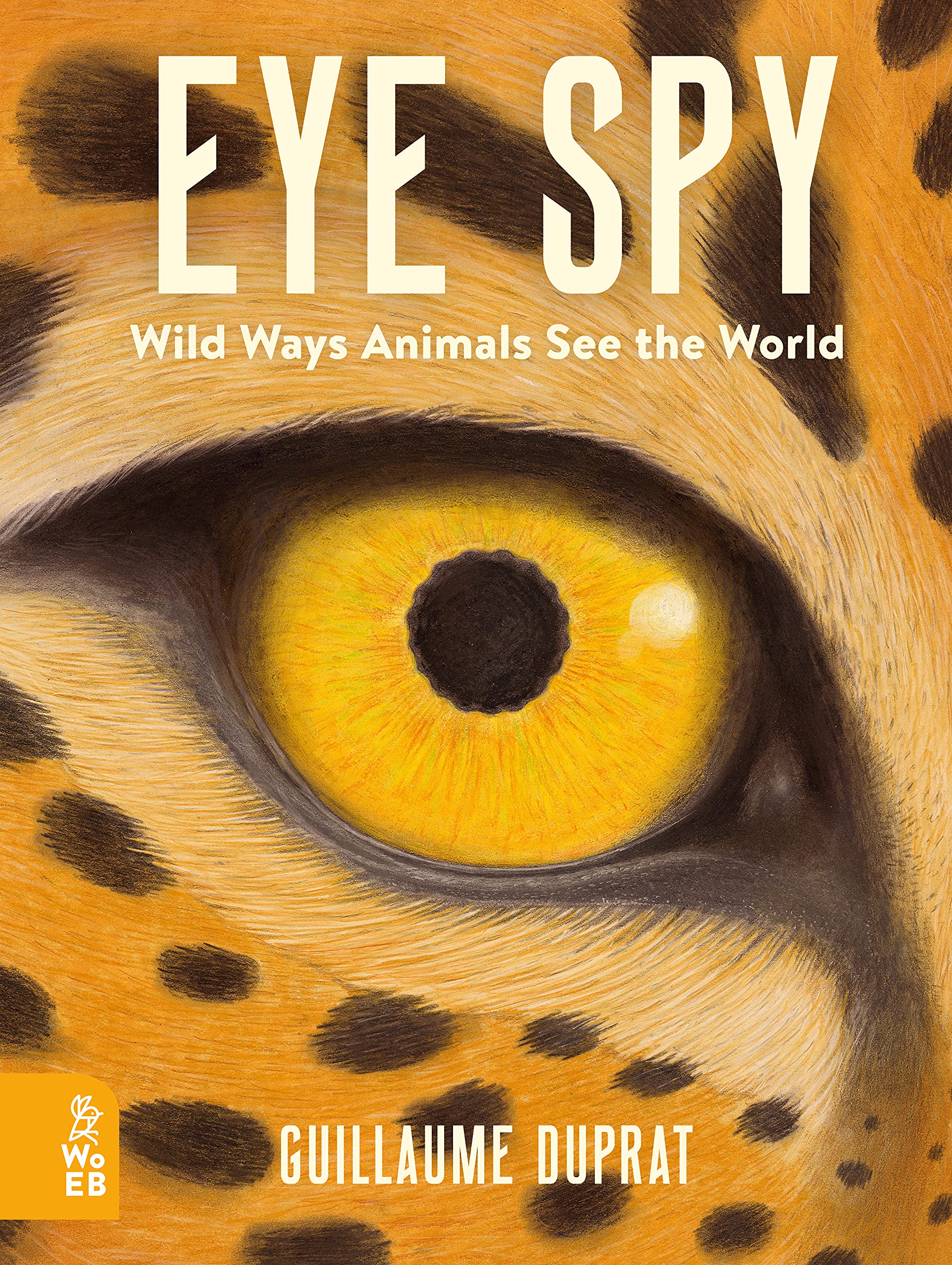 Eye Spy: Wild Ways Animals See the World,Used