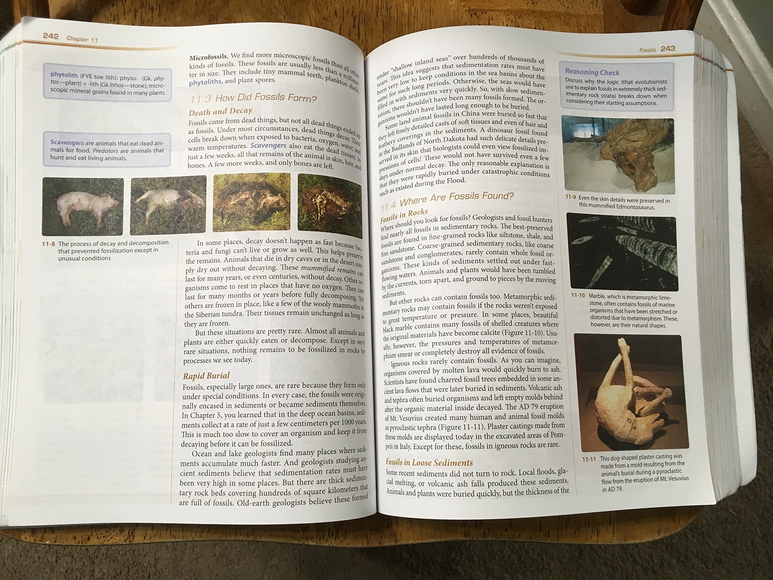 Earth Science Student Text Grade 8 4th Edition,Used