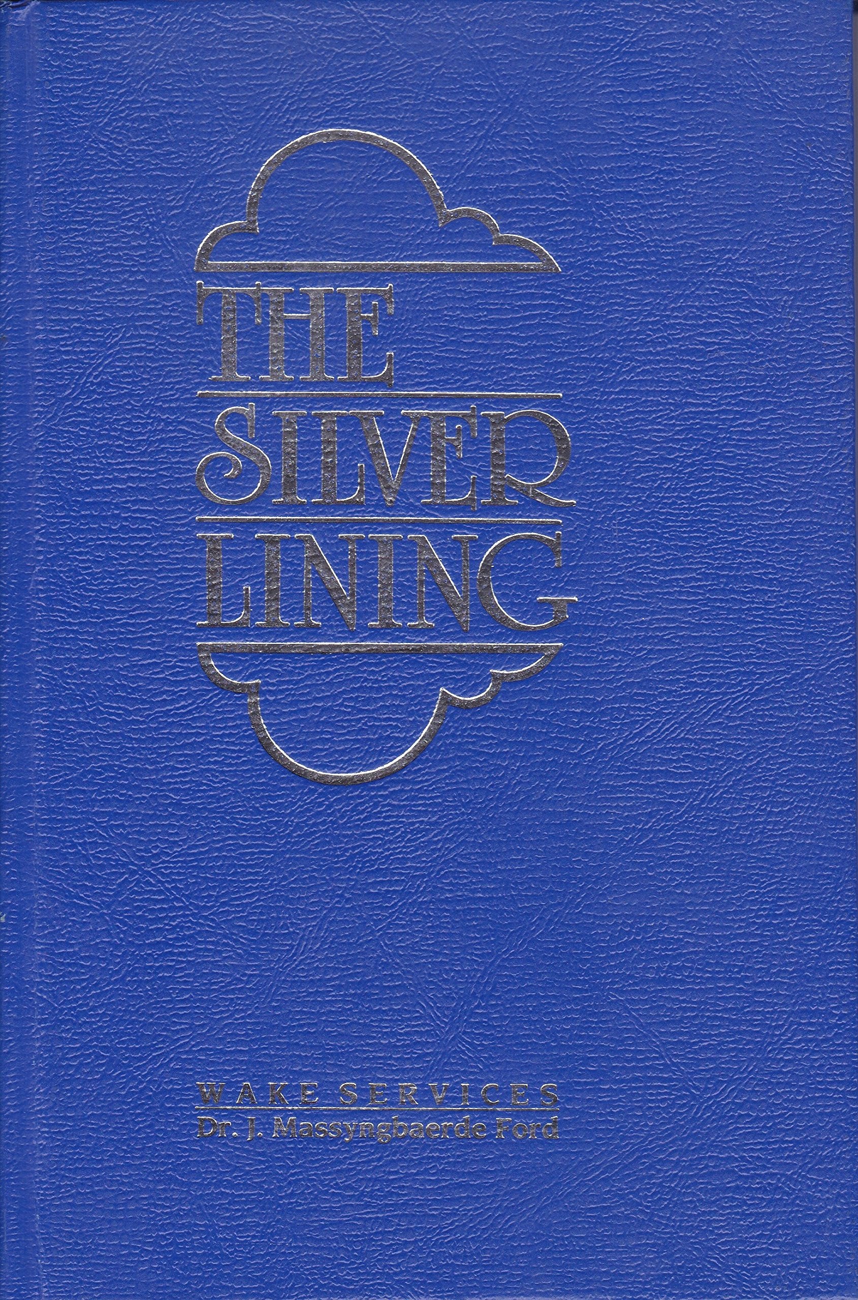 Silver Lining: 11 Personalized Scriptural Wake Services,Used