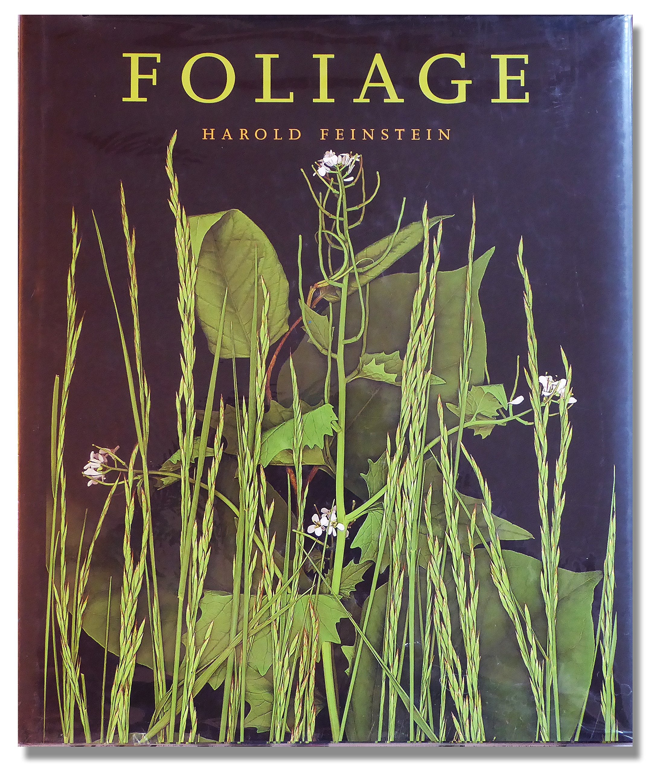 Foliage,New