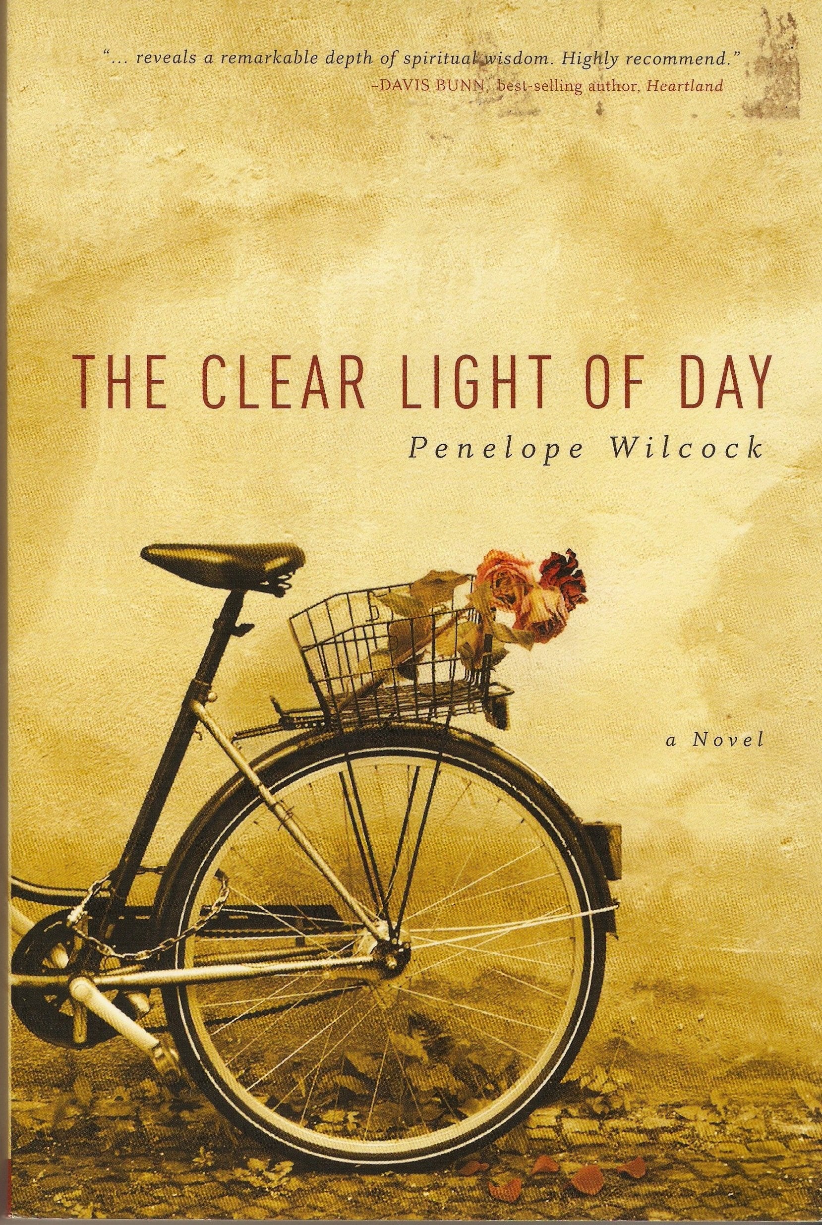 The Clear Light of Day: A Novel,Used