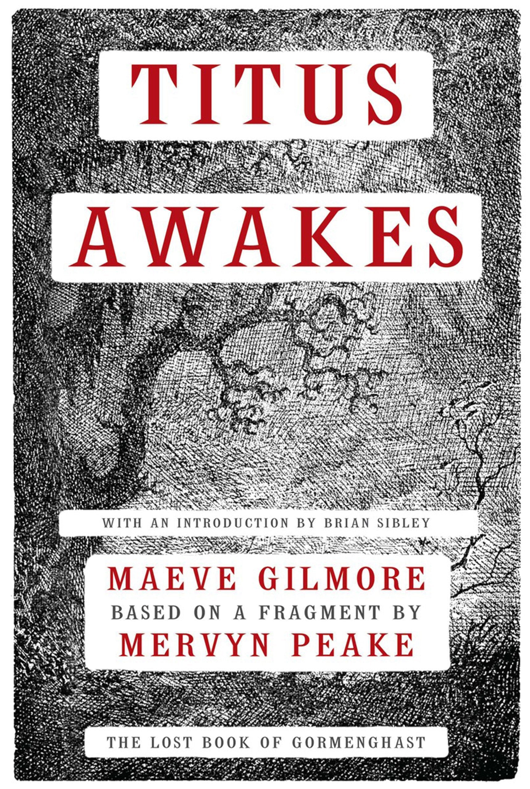Titus Awakes: A Novel,Used