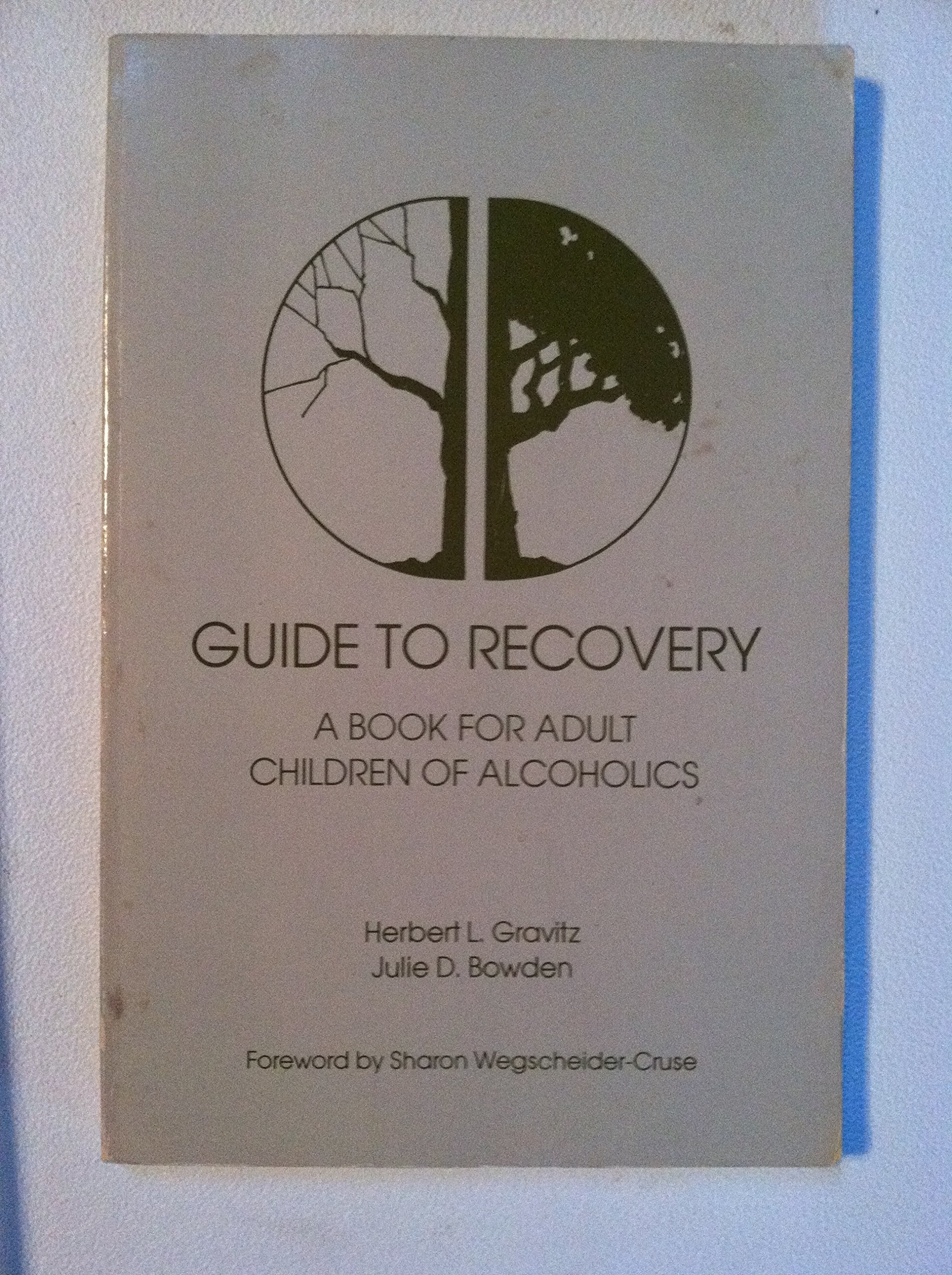 Guide To Recovery,New