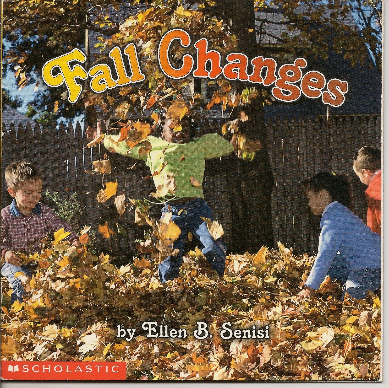 Fall Changes,Used