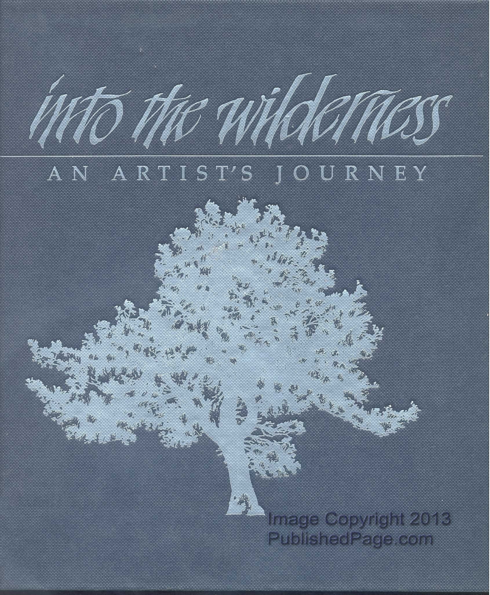 Into the Wilderness: An Artist's Journey,Used