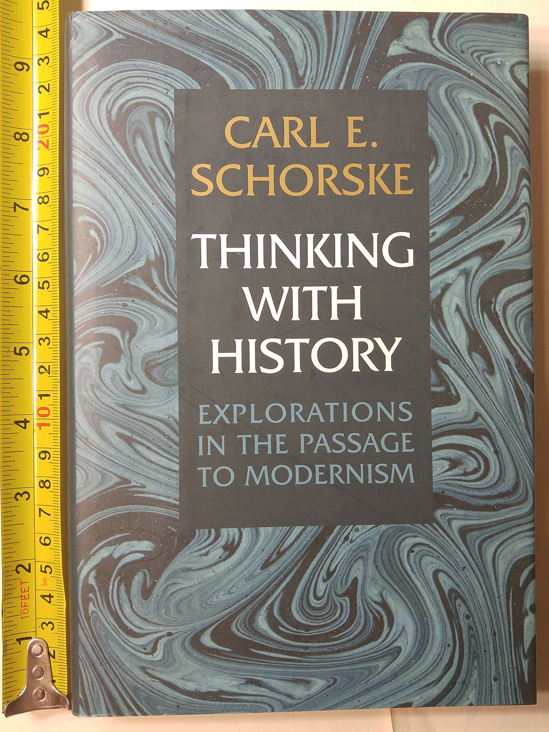 Thinking With History: Explorations In The Passage To Modernism,Used