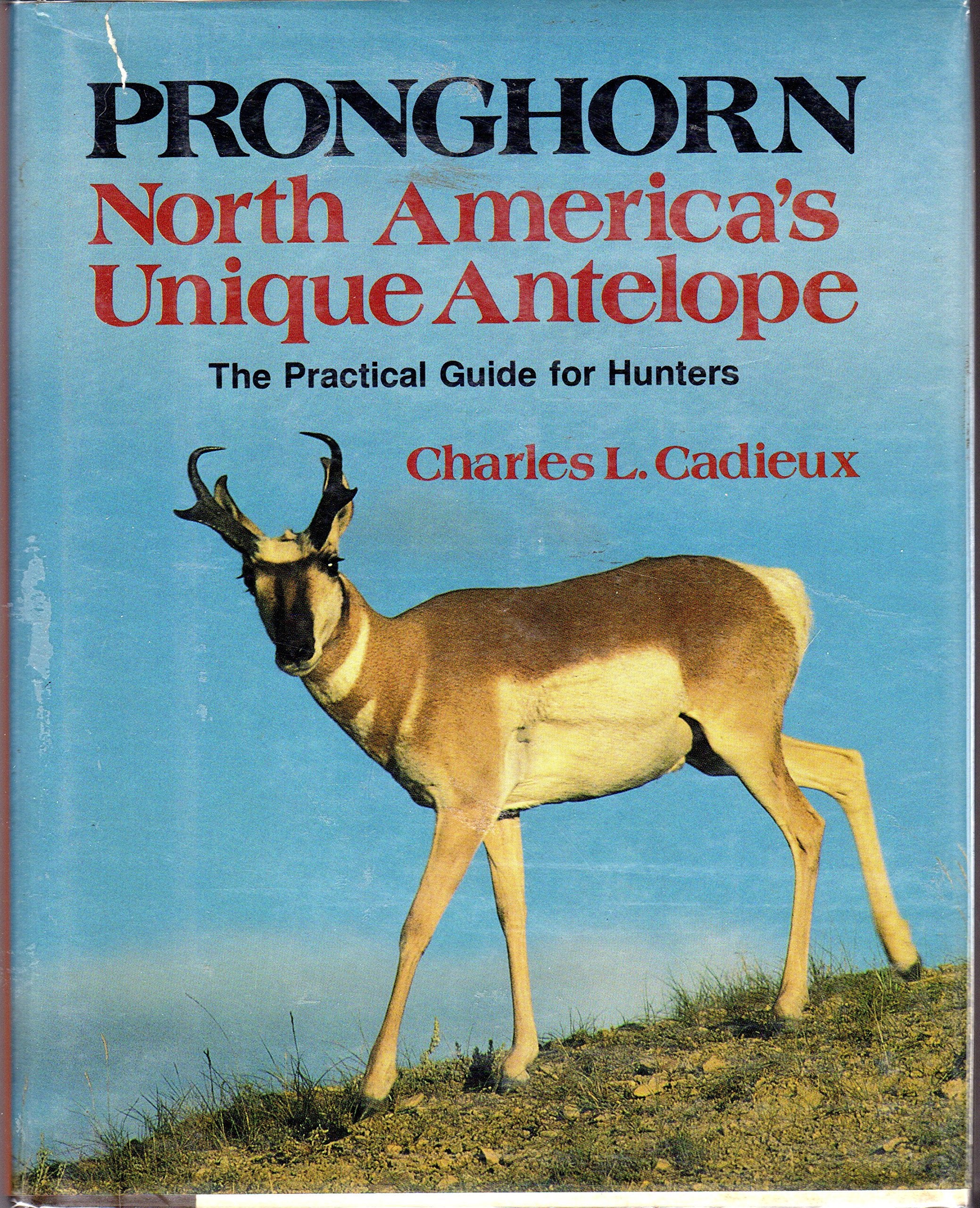 Pronghorn: North America's Unique Antelope,Used