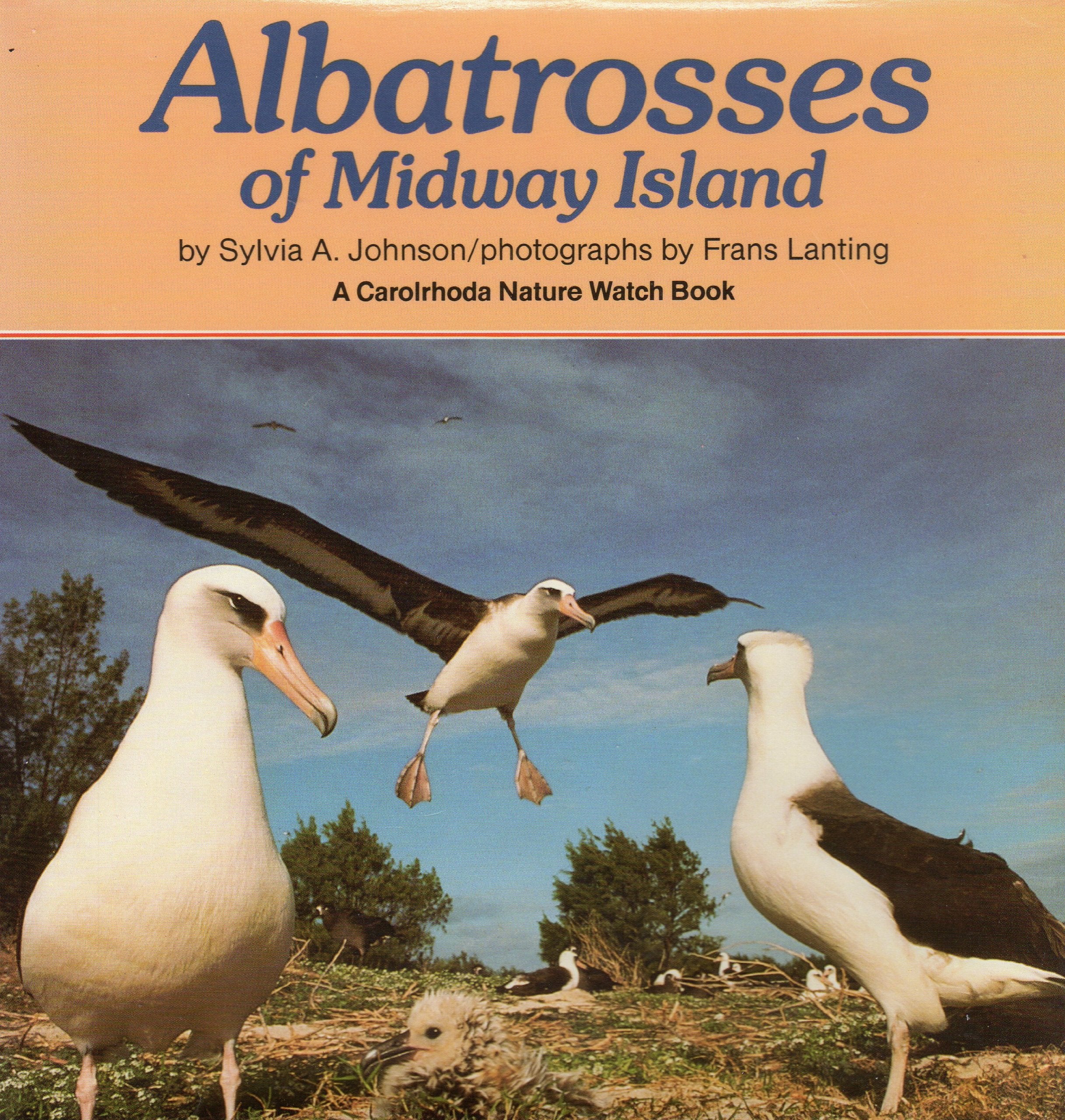 The Albatrosses of Midway Island (Carolrhoda Nature Watch Series),Used