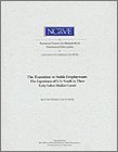 The Transition To Stable Employment: The Experience Of U.S. Youth In Their Early Labor Market Career,New