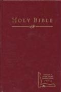 HCSB Drill Bible (Small Edition, Burgundy Hardcover),New