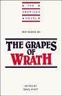 New Essays on The Grapes of Wrath (The American Novel),Used