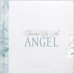 Touched by an Angel Journal,Used