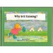 Why Is It Raining?,Used