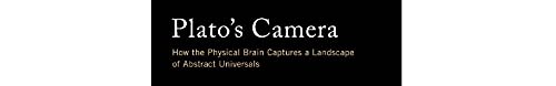 Plato's Camera: How the Physical Brain Captures a Landscape of Abstract Universals,Used