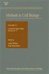 Cumulative Index, Volumes (Volume 73) (Methods In Cell Biology, Volume 73),New