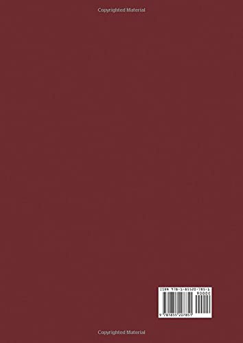 Jaguar Xj6 Workshop Manual Owners Edition 19861994