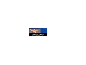 Maya Angelou: Poet, Performer, Activist (Signature Lives),Used