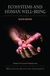 Ecosystems and Human WellBeing: Volume 2 Scenarios: Findings of the Scenarios Working Group (Millennium Ecosystem Assessment Se,Used