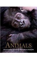 Animals: Encyclopedic Guide to the World's Wildlife,Used
