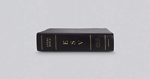 ESV Study Bible (Bonded Leather, Black),Used