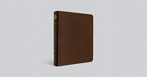 ESV Journaling Bible (Mocha, Threshold Design),Used