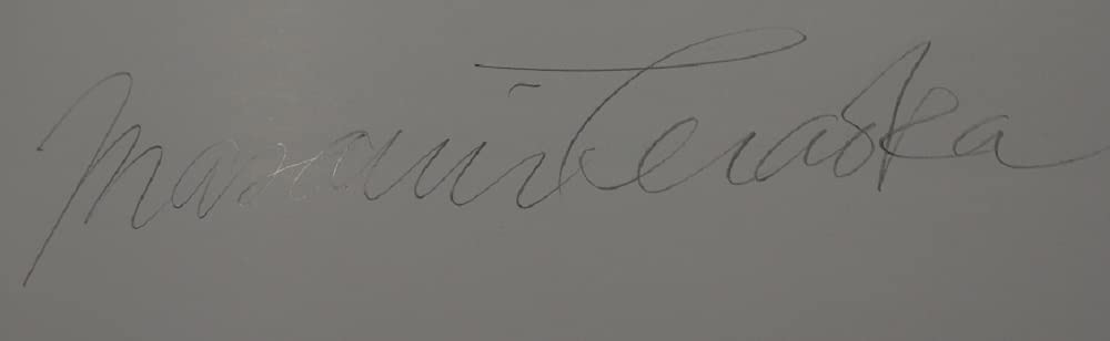 Masami Teraoka: From Tradition To Technology, The Floating World Comes Of Age-used