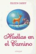Huellas en el Camino / Footprints on the Path (Spanish Edition),Used