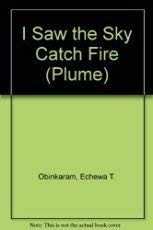 I Saw The Sky Catch Fire (Plume Contemporary Fiction)-used