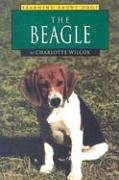 The Beagle (Learning About Dogs),Used