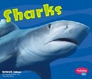 Sharks (Pebble Plus),Used