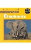 Elephants (In the Wild),Used
