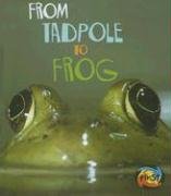 From Tadpole to Frog (Heinemann First Library),Used