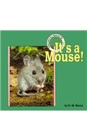 It's a Mouse (Creatures All Around Us),Used