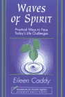 Waves of Spirit: Practical Ways to Face Today's Life Challenges,New