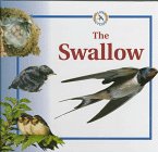 The Swallow (Life Cycles),Used