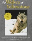 The Wolves Of Yellowstone,New