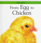 From Egg to Chicken (Lifecycles),New